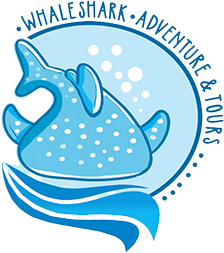 Whale Shark Adventure & Tours
