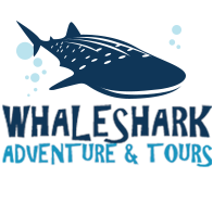 Whale Shark Adventure & Tours